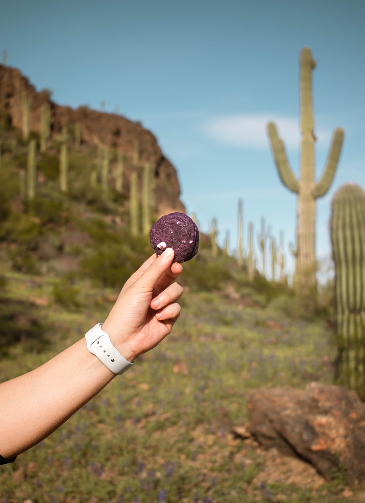 Ube White Chocolate Chip Cookie